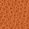 marigold | genarbt